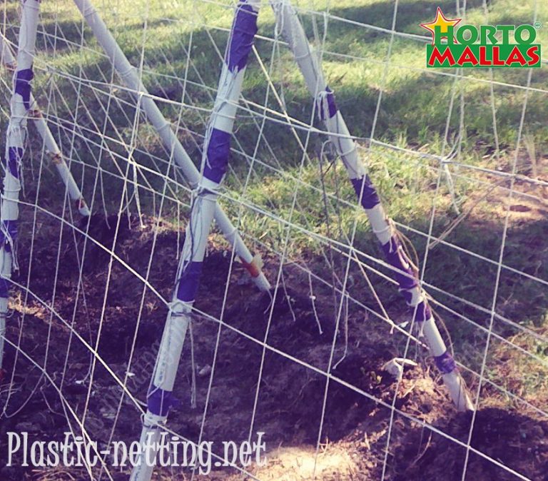 Plastic Netting Is a Standard in Modern Agriculture Plastic Netting
