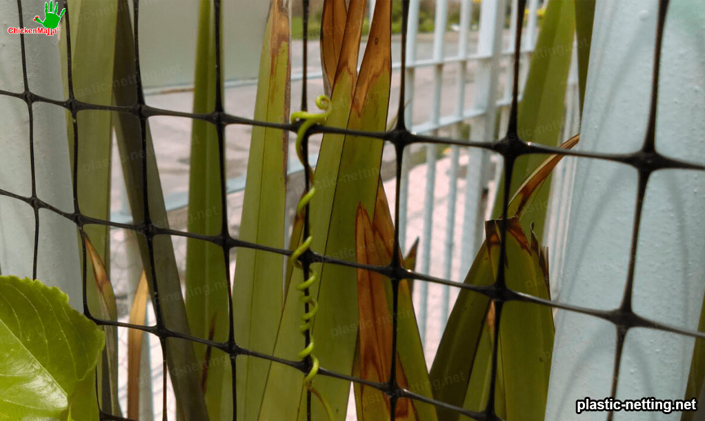 plastic mesh in garden