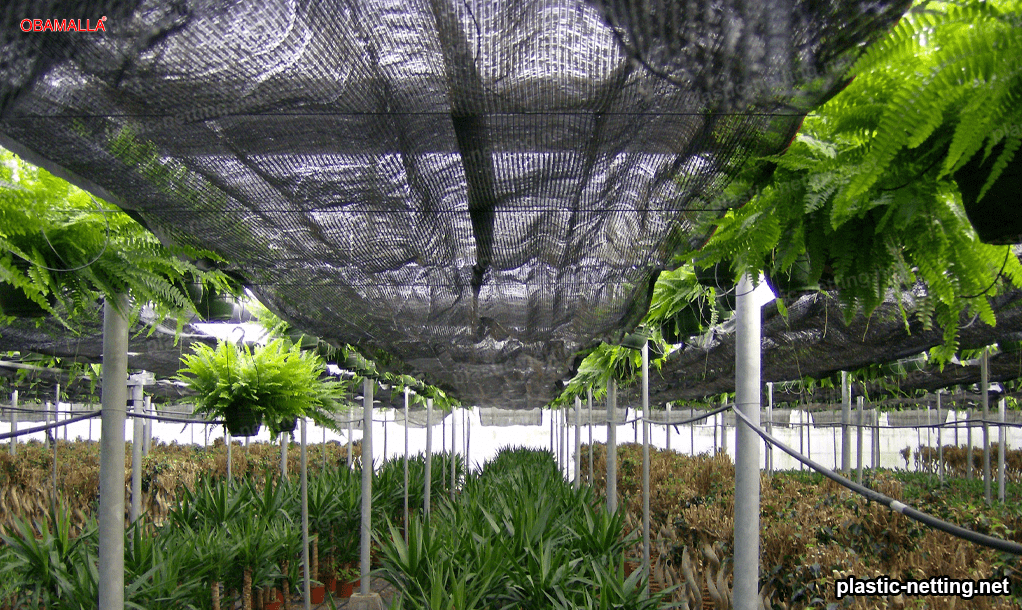 shading netting installed in a field