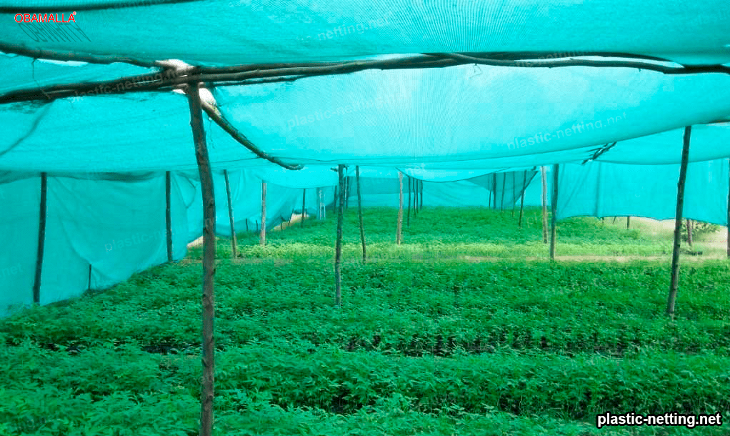 green shade mesh in a greenhouse